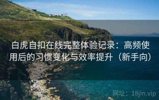 白虎自扣在线完整体验记录：高频使用后的习惯变化与效率提升（新手向）