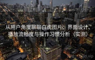 从用户角度聊聊白虎图片：界面设计、播放流畅度与操作习惯分析（实测）