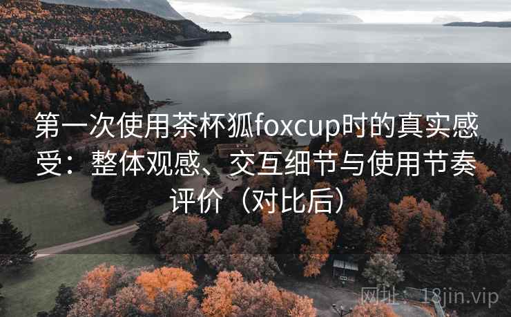第一次使用茶杯狐foxcup时的真实感受:整体观感、交互细节与使用节奏评价(对比后)-第1张图片 第一次使用茶杯狐foxcup时的真实感受:整体观感、交互细节与使用节奏评价(对比后)-第1张图片